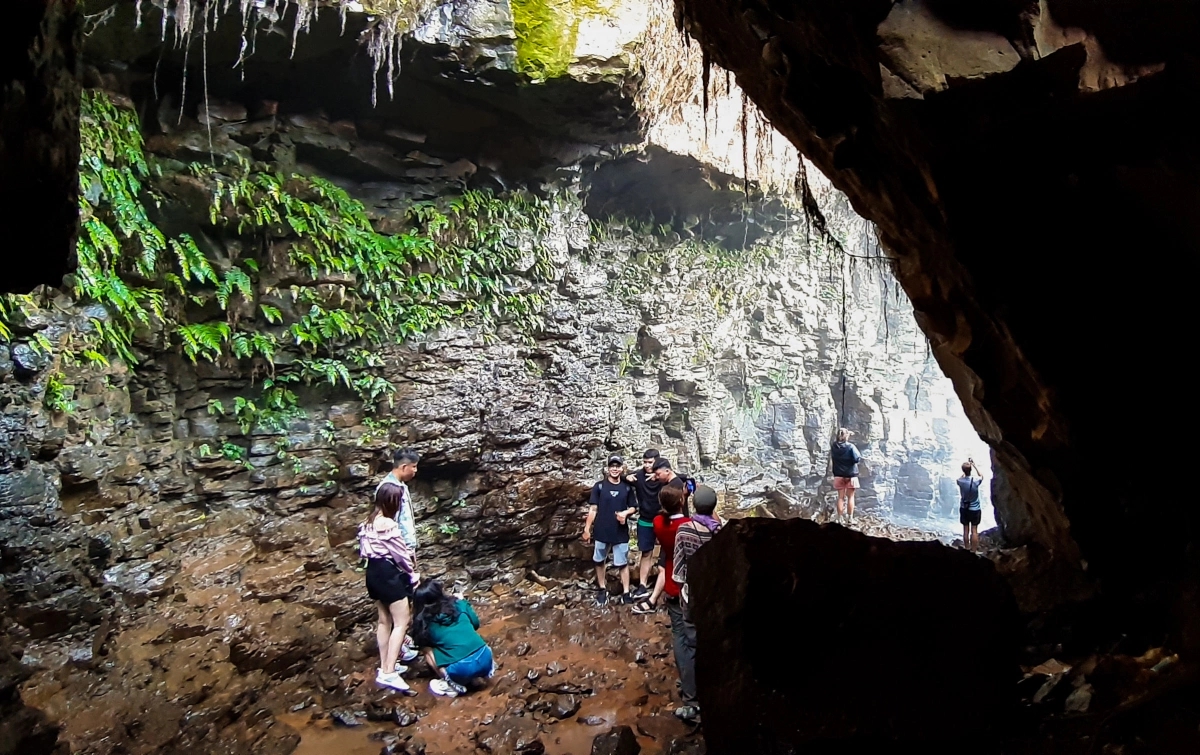 Hang Gió - Thác Voi Đà Lạt